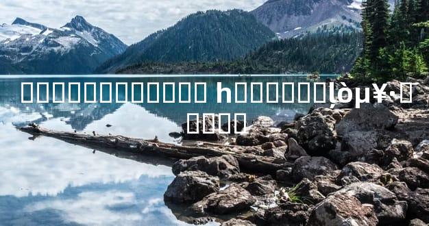 ������˿����� һ���Ͷ��ļ�